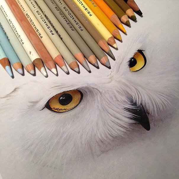 Pencil Art, desenhos incríveis de animais feitos a lápis