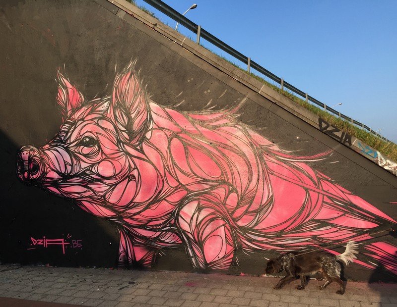 bela-e-animalesca-arte-urbana-de-dzia (14)