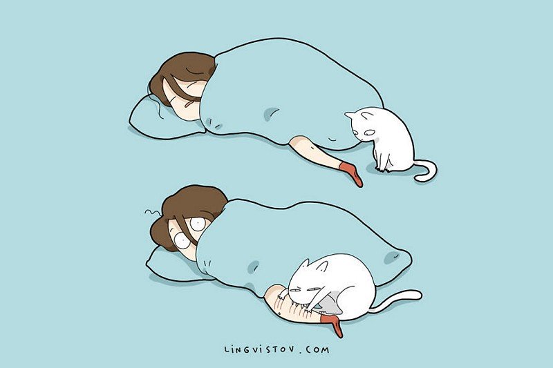 divertidas-ilustracoes-mostram-vida-de-quem-tem-um-gato-de-estimacao-3