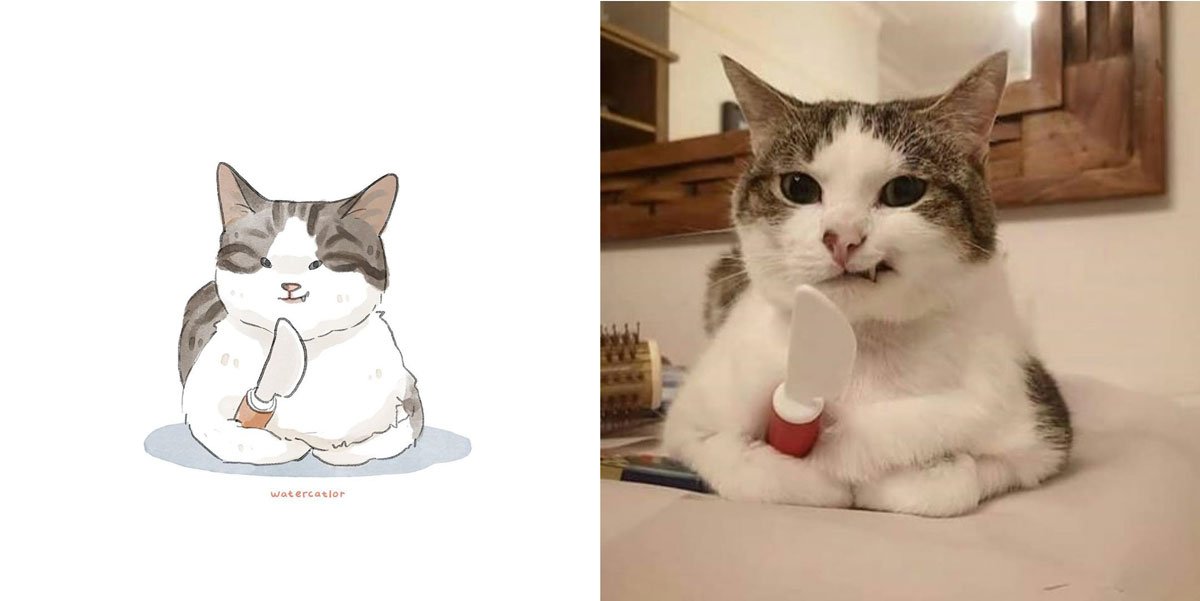 EoTREMBB  Gatos legais, Fotos de animais engraçados, Posteres de gato